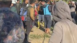 Premanisme Berkedok “Petani Lada” di Hutan Lindung Loeha Raya, Petugas Kemenhut Dintimidasi dan Diusir