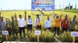 Gubernur Sulawesi Tengah Anwar Hafid Dorong Toili Jadi Percontohan Pertanian Modern