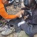 7 Pendaki Gunung Nokilalaki yang Kehabisan Logistik Dievakuasi dengan Selamat