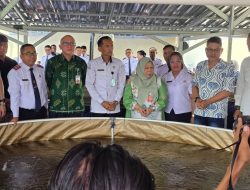 Wagub Sulteng Serahkan 16.800 Benih Ikan Nila untuk Empat Kelompok Budidaya di Sigi