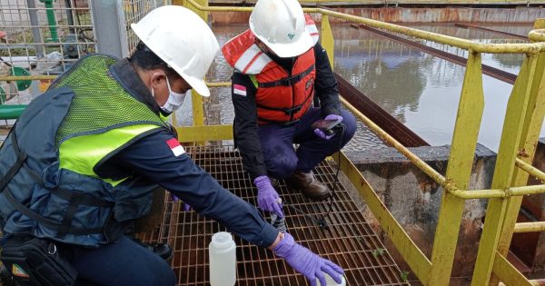 PT Vale tidak hanya menambang nikel, tapi juga menjaga bumi