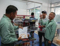 Vale Indonesia Dorong UMKM Lokal Tumbuh Pesat Lewat Rumah Oleh-Oleh Telalola