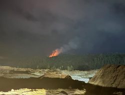 Bakar Hutan dan Duduki Fasilitas Vital, Aksi Brutal Perambahan Liar di Morowali Dipolisikan