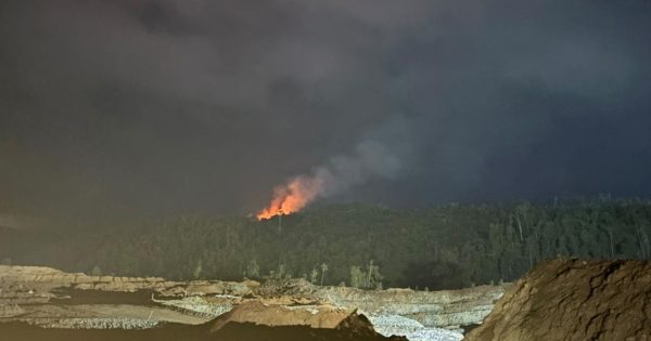 Aksi perambahan liar di lokasi pt vale morowali