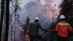 Gakkum Kehutanan Tegaskan Penggunaan Kawasan Hutan Wajib Patuhi Aturan