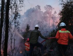 Gakkum Kehutanan Tegaskan Penggunaan Kawasan Hutan Wajib Patuhi Aturan
