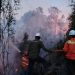 Gakkum Kehutanan Tegaskan Penggunaan Kawasan Hutan Wajib Patuhi Aturan