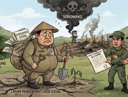 Penyidikan Perambahan Tanamalia Meluas, Gakkum Kehutanan Dalami Keterlibatan Ali Kamri